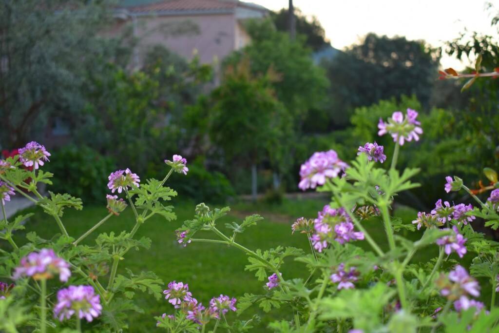 Villa Sunset Lefkas Agios Ioannis  Eksteriør bilde