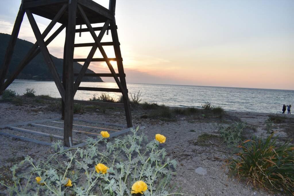 Villa Sunset Lefkas Agios Ioannis  Eksteriør bilde